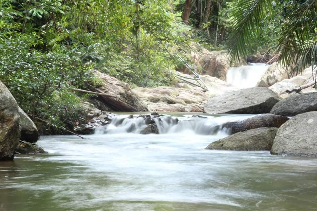 Rock Forest Chalet Bentong Buitenkant foto