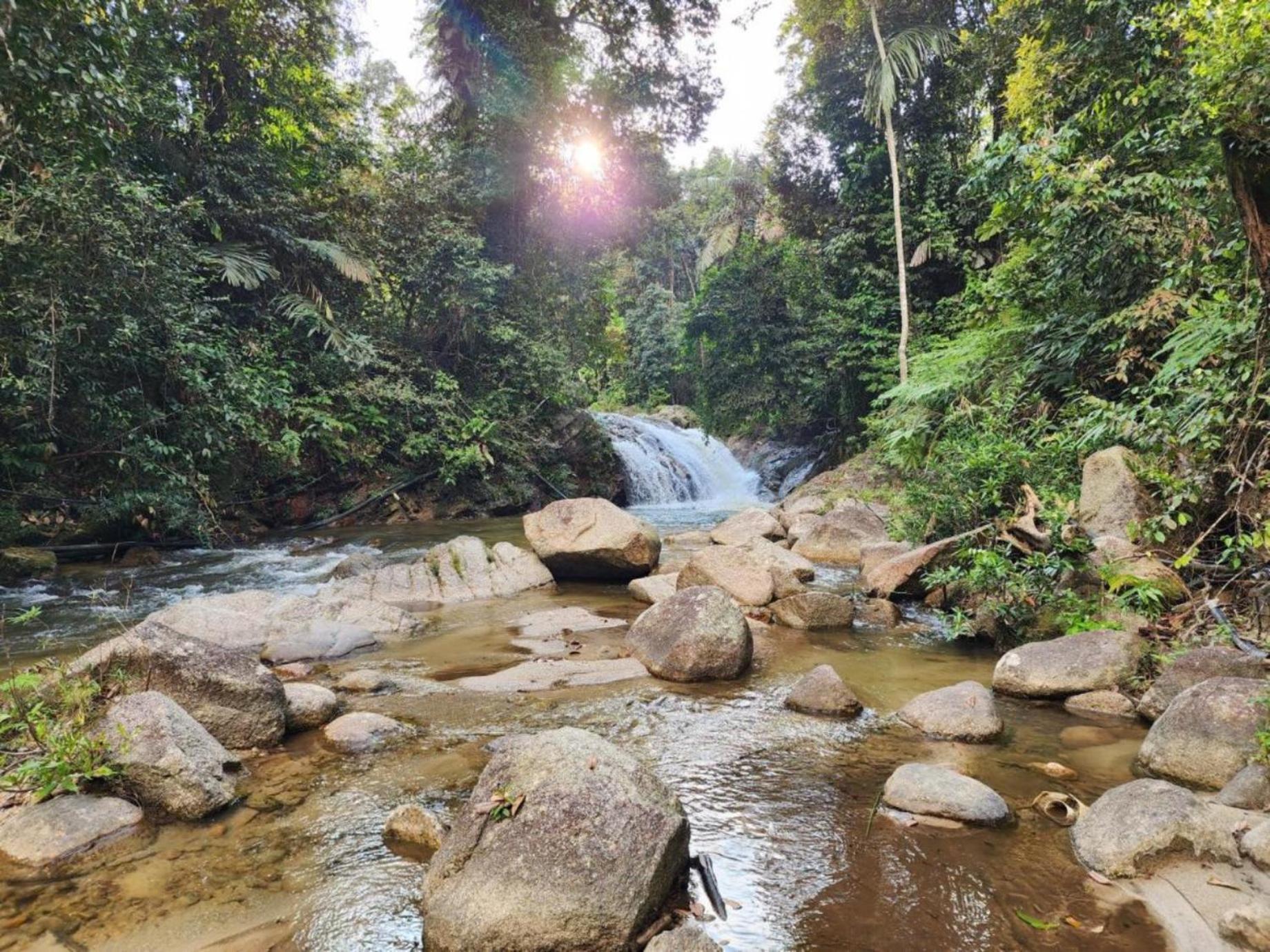 Rock Forest Chalet Bentong Buitenkant foto
